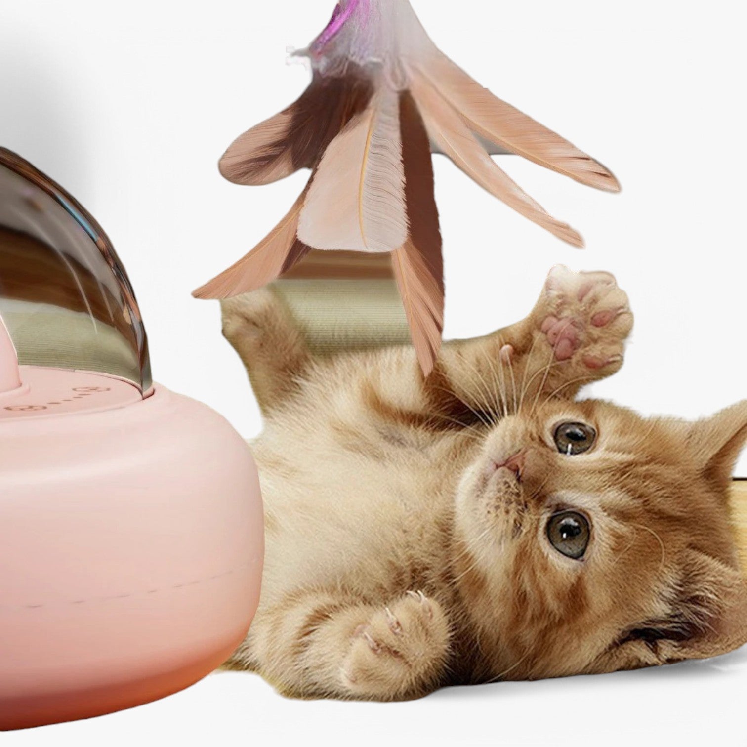 Giocattolo Laser Slim per Gatti con Luce Arcobaleno – Nola