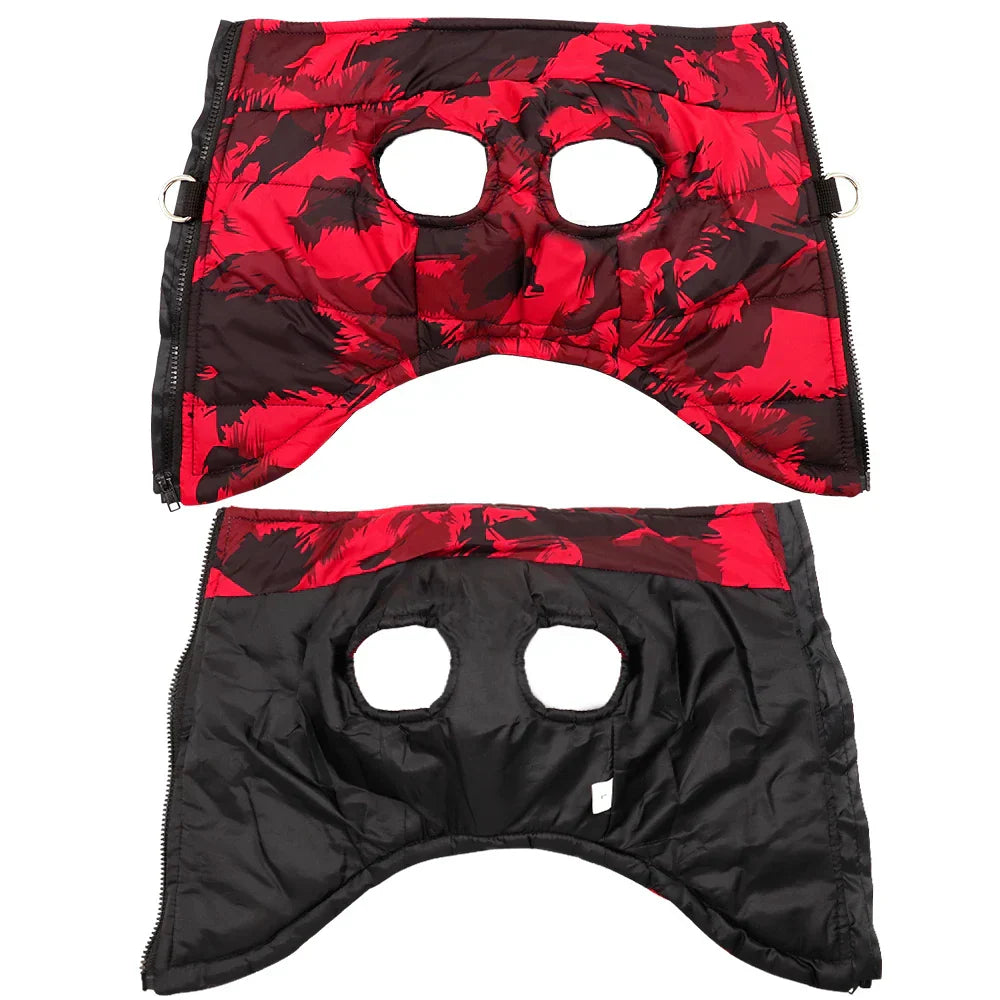 PawElite Winter Coat - Stylish Coat for Dogs