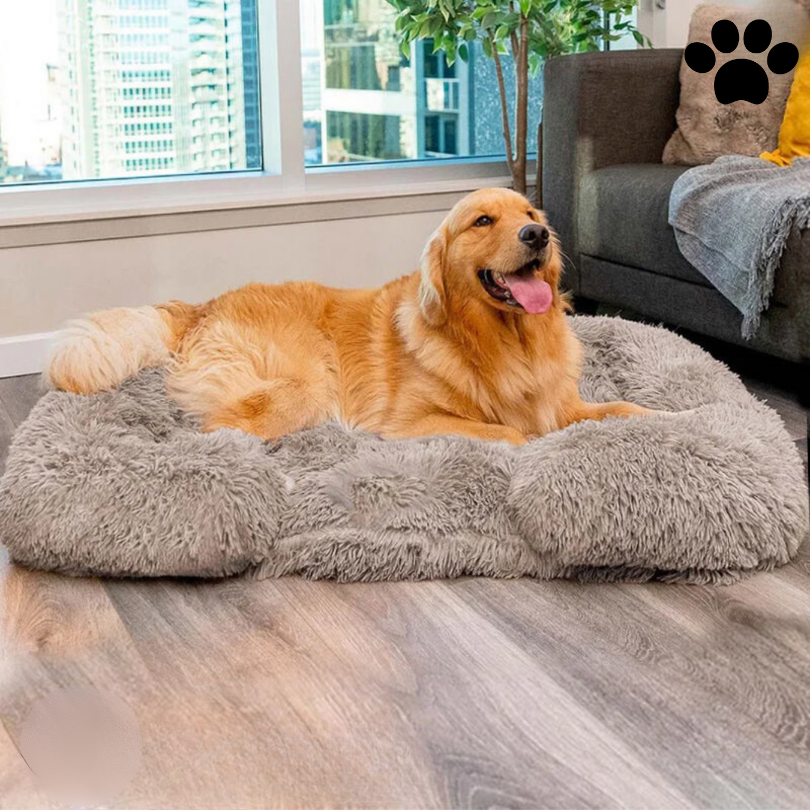 Letto per Cani Calmante con Memory Foam - Charlie