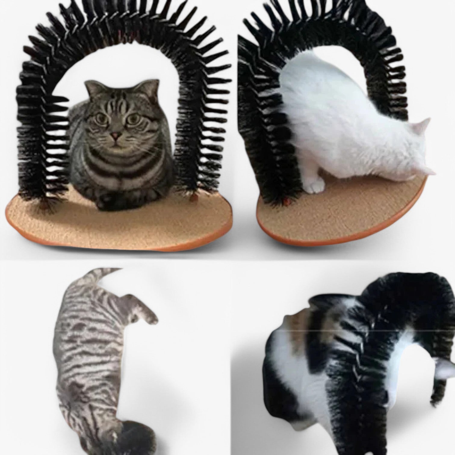 Arco per Auto-Cura e Massaggio per Gatti – Mira