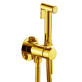 Always Clean Wall-Mounted Bidet Spray Set
