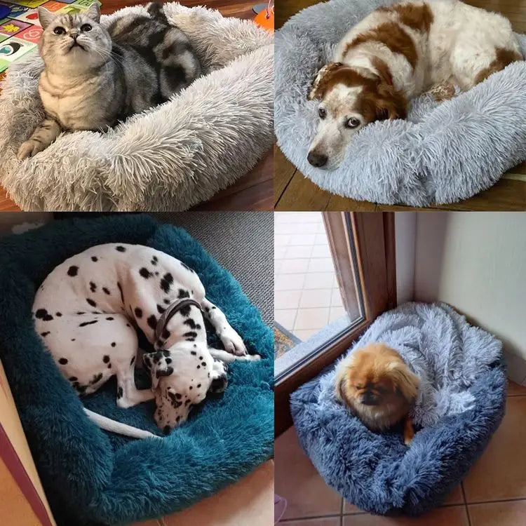 FurHaven Deluxe Dog Lounger | Letto per animali domestici lungo in peluche, lavabile per cani e gatti
