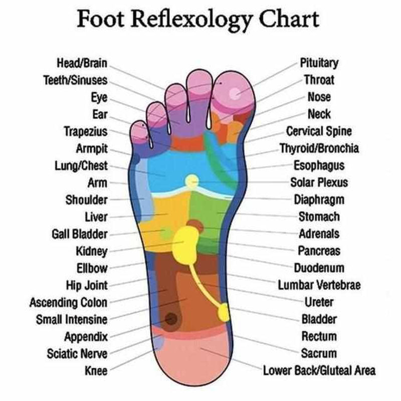 Pantofole di Agopressione per l'Estate 2025 – ReFlexSlippers