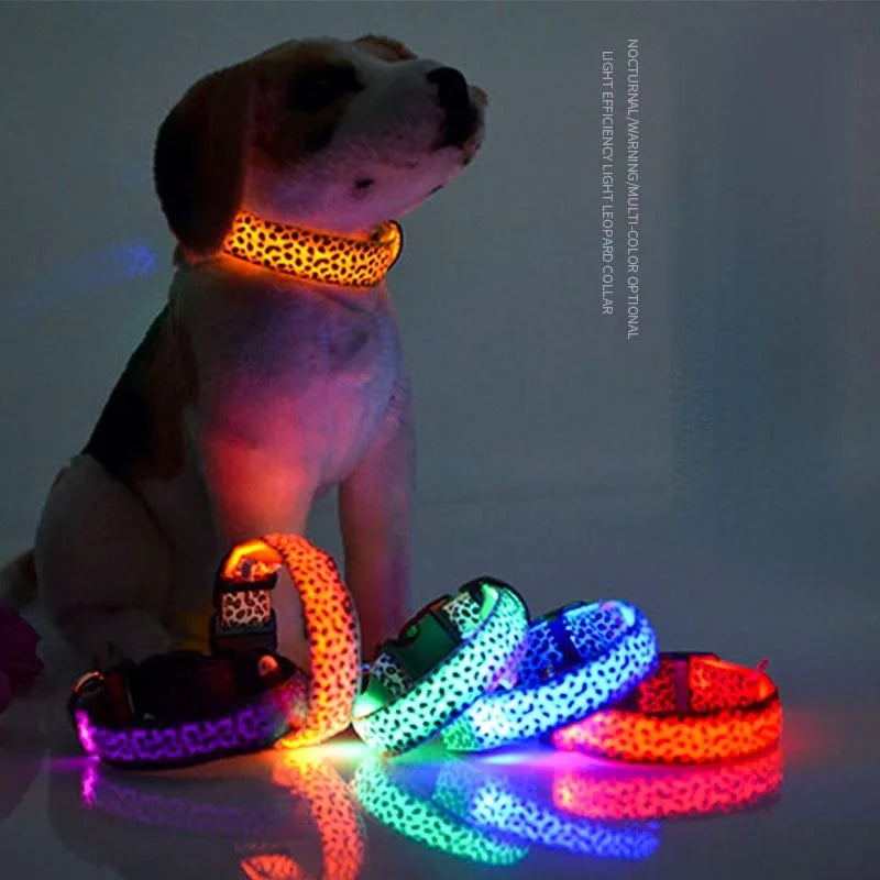 Collare per Cani LED NightGlow | Cammina in sicurezza e fai in modo di essere visto con questo collare luminoso per cani
