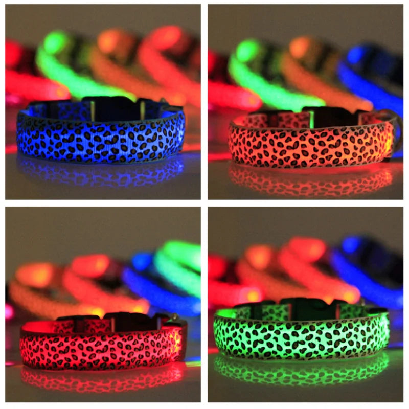 Collare per Cani LED NightGlow | Cammina in sicurezza e fai in modo di essere visto con questo collare luminoso per cani
