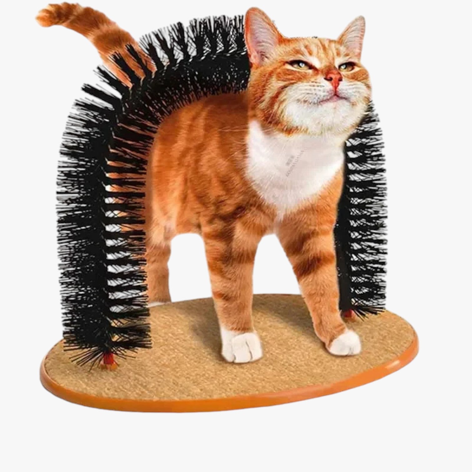 Arco per Auto-Cura e Massaggio per Gatti – Mira