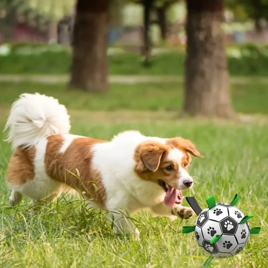 Palla per Sport Cani Sostenibile con Manici – TugBounce