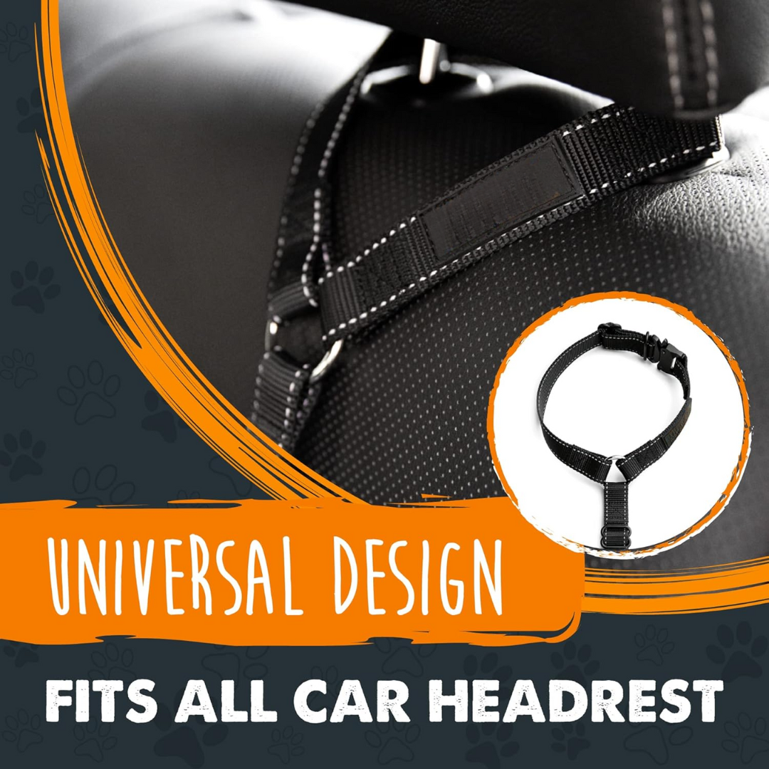 Imbracatura di Sicurezza per Cani – Metti al Sicuro il Tuo Animale in Pochi Secondi!