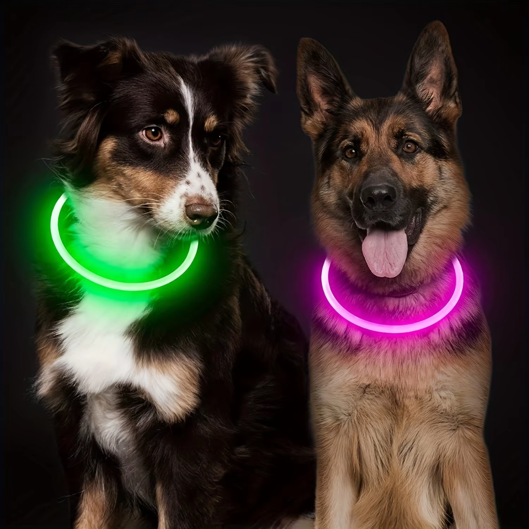 Collare per Cani GlowSafe LED – Luce di Sicurezza Ricaricabile USB
