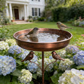 Fontaine pour oiseaux | Avec support | Bol en métal très robuste | BirdHaven