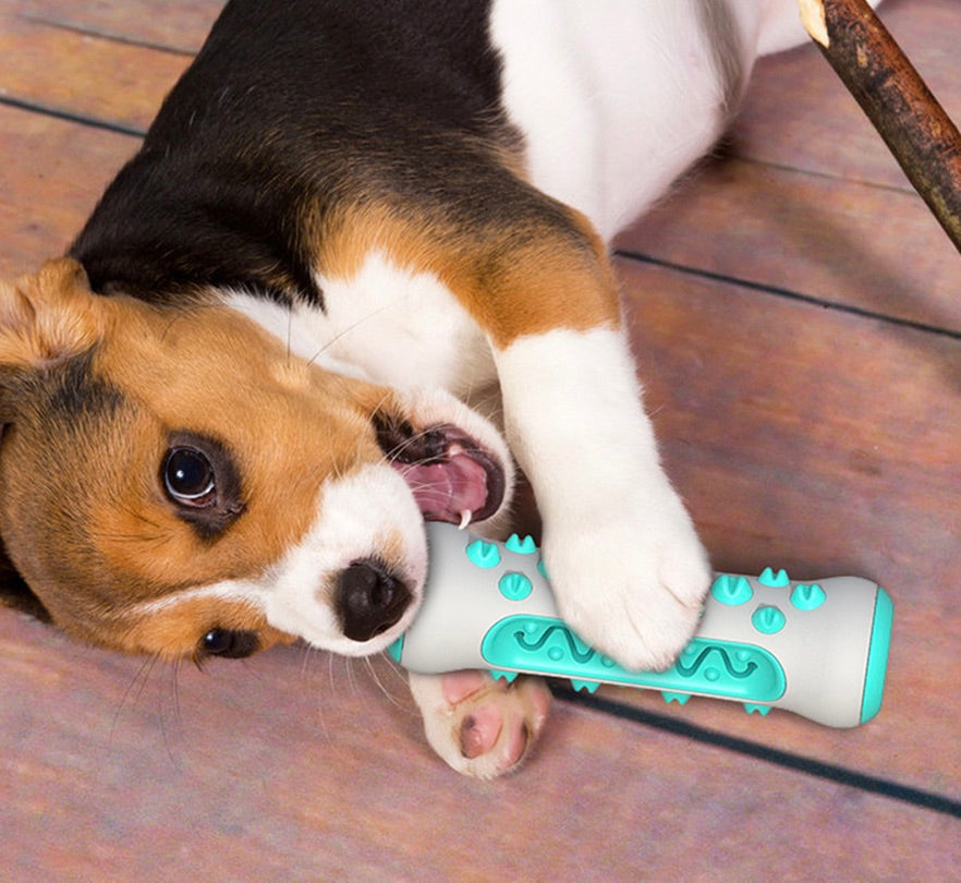 Giocattolo da masticare per cani – Chewly