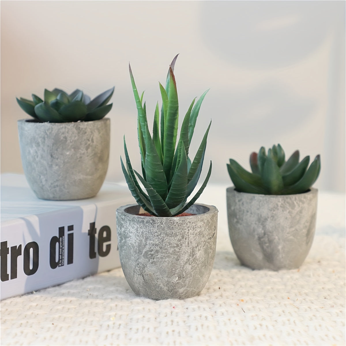 Set di Mini Piante Artificiali Decorative in Aspetto Cemento – Tocco Verde Elegante per Qualsiasi Interno
