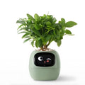Pot de fleurs intelligent automatique - GreenBuddy SmartPot