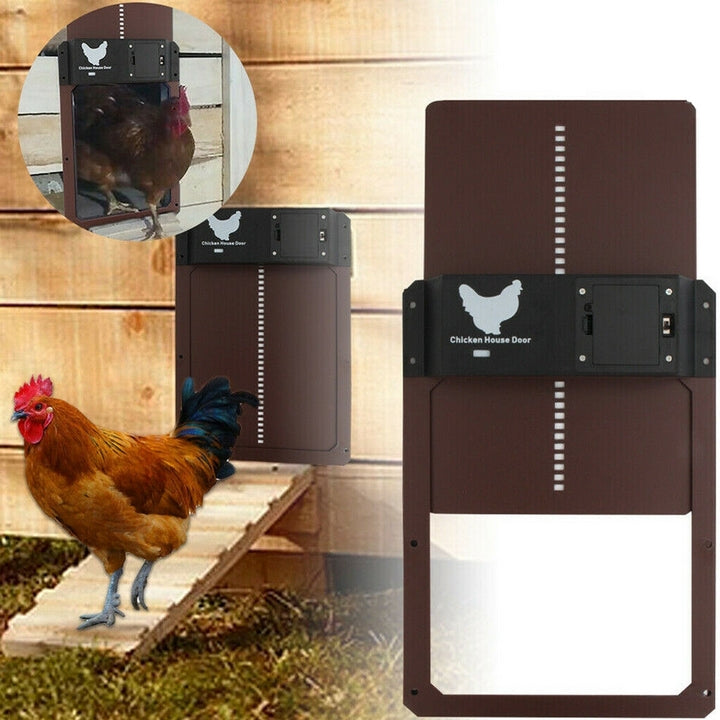 PoultryGuard Luxe Porta Automatica | Porta intelligente controllata dalla luce per polli al sicuro
