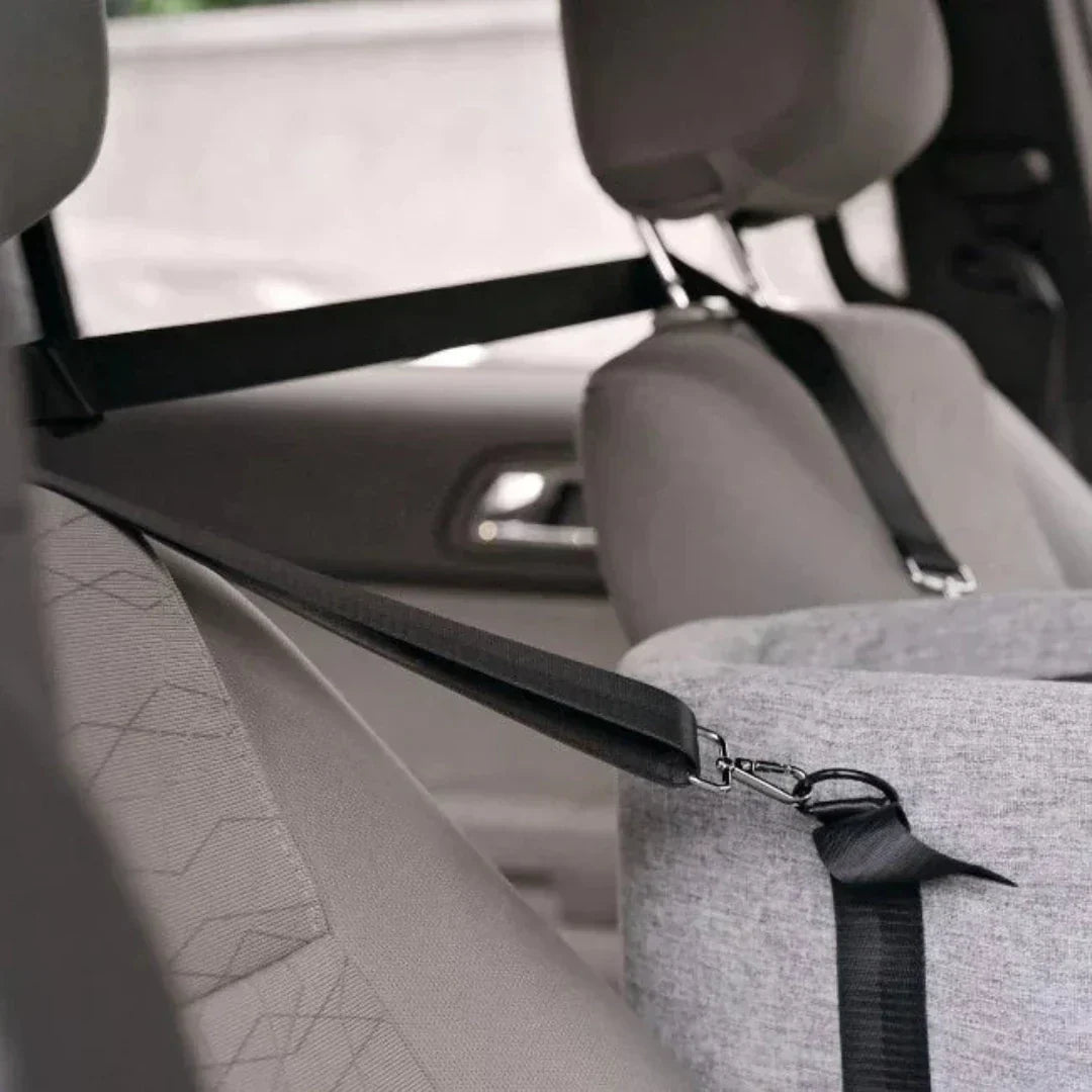 Seggiolino per Auto per Animali - PawVoyage