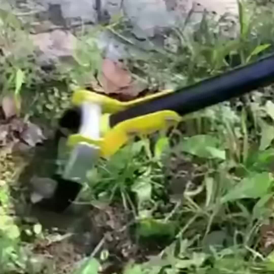 Attrezzo da Giardino Ergonomico in Acciaio Inossidabile con Testa Triangolare – Per Diserbo e Coltivazione del Terreno