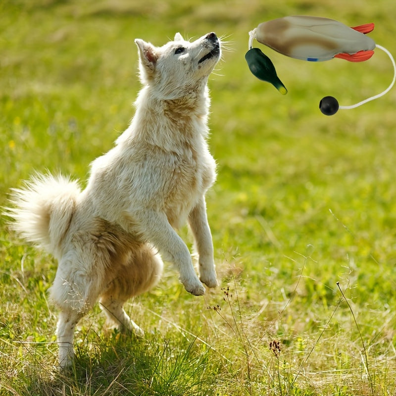 Mallard Retriever – Gioco per Addestramento in Plastica Durabile a Forma di Anatra