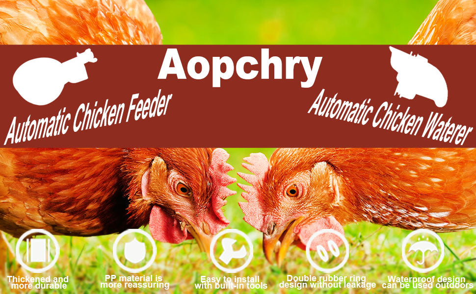 Set di 10 Bevitrici per Polli – Pratiche ed Efficienti