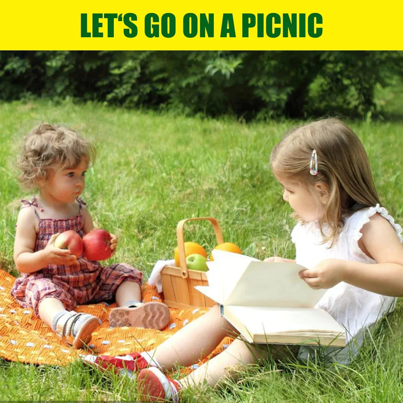 Tappeto di Semi per Prato Biodegradabile - Verdi