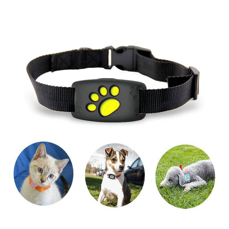 Collare GPS Intelligente per Gatti e Cani di Piccola Taglia – PawTrack