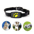 Collar GPS WhiskerGuard Pro con seguimiento en tiempo real