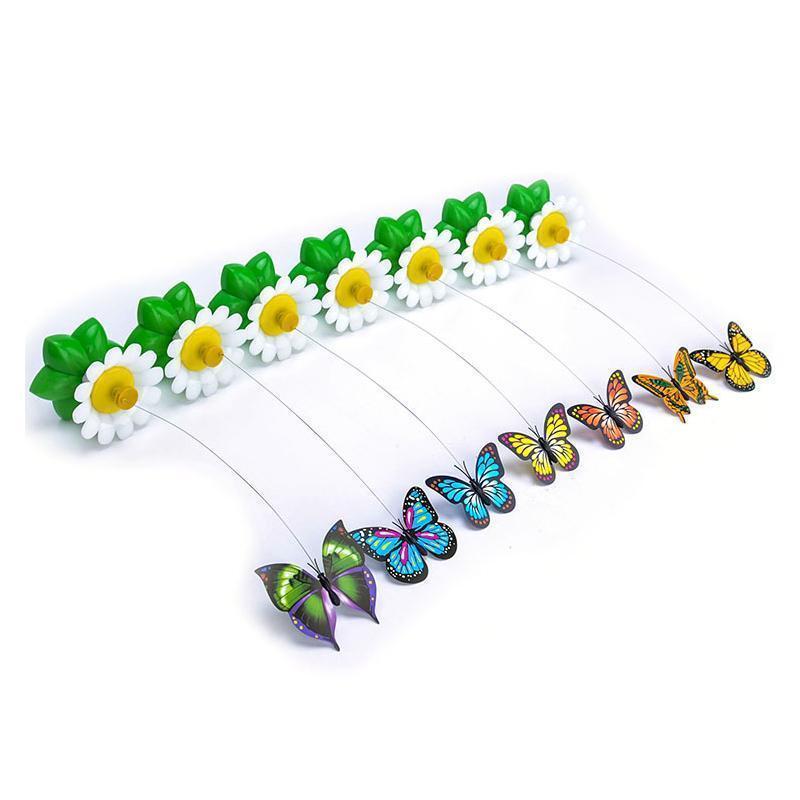 Gioco Interattivo per Gatti – Purrfect Play