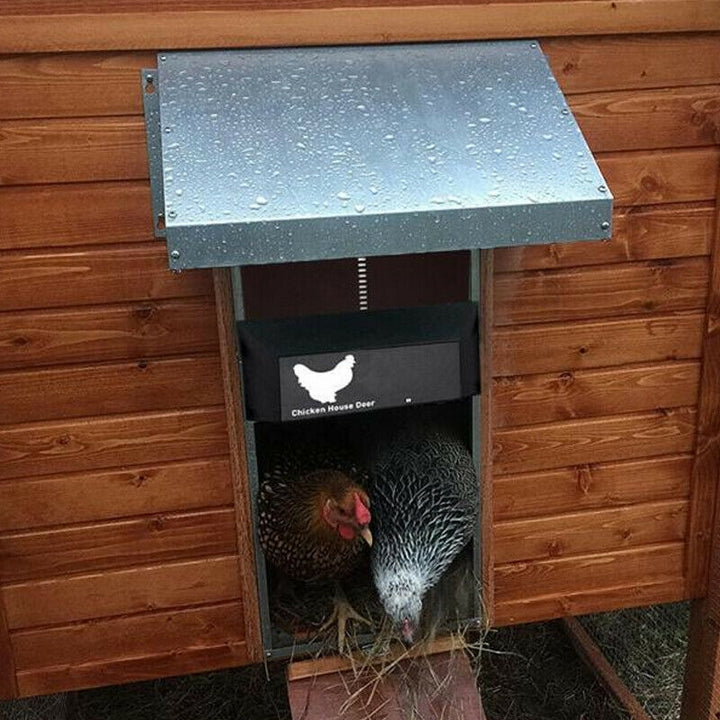 PoultryGuard Luxe Porta Automatica | Porta intelligente controllata dalla luce per polli al sicuro