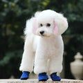 CozyPaws • Botas Impermeáveis para Cães
