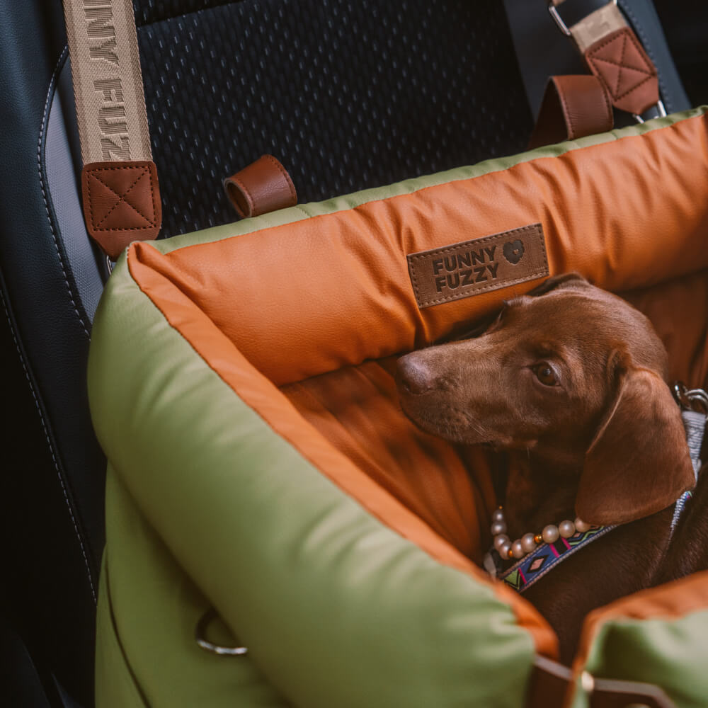 Seggiolino per Auto per Cani Invernale Confortevole - PawLuxury