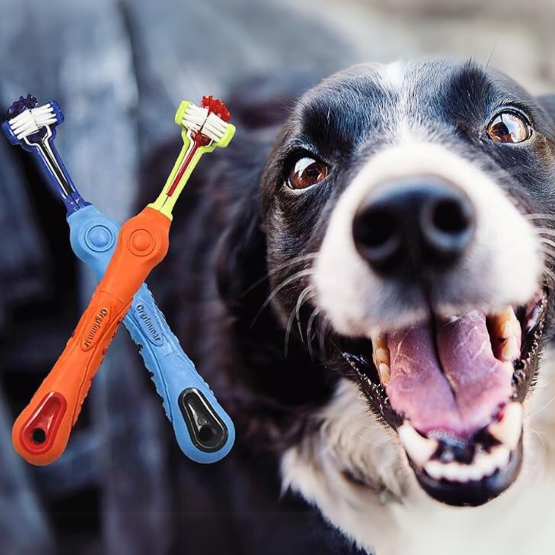 Spazzolino per Animali a 2 Parti e 3 Lati – Controllo dell'Infiammazione delle Gengive per Denti Sani