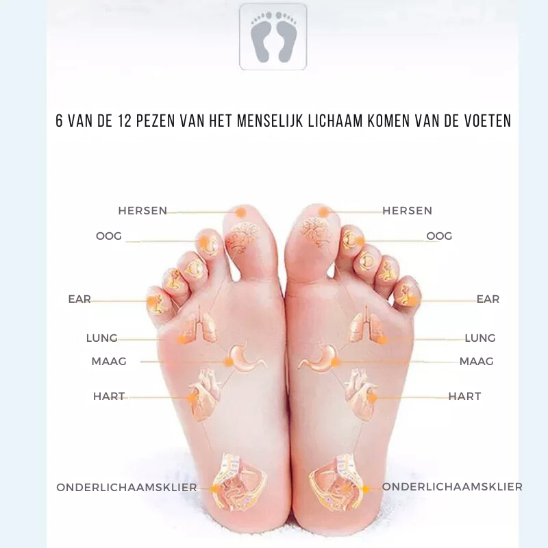 Cuscino per Massaggio ai Piedi Callen EMS - Rilassamento Elettronico