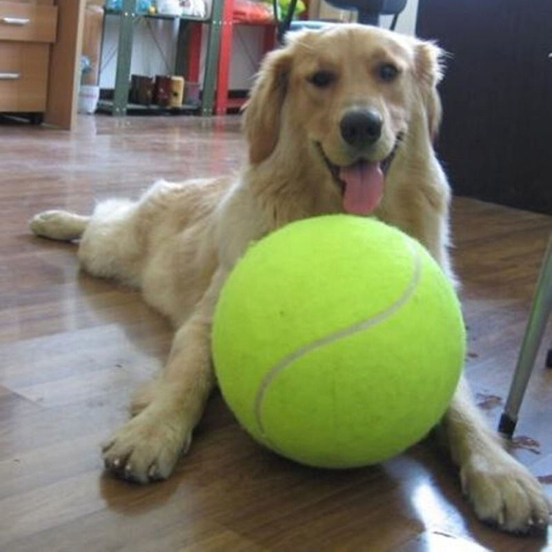 Palla da Tennis XL per Cani (24 cm) - GiantFetch