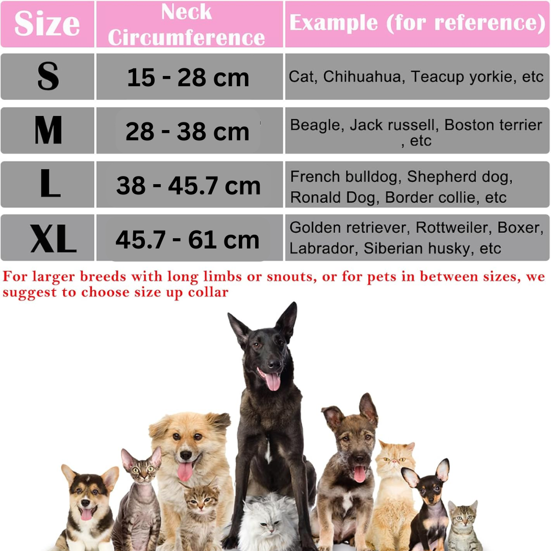 Collare Inflabile Protettivo per Cani - Anello di Recupero Morbido e Confortevole