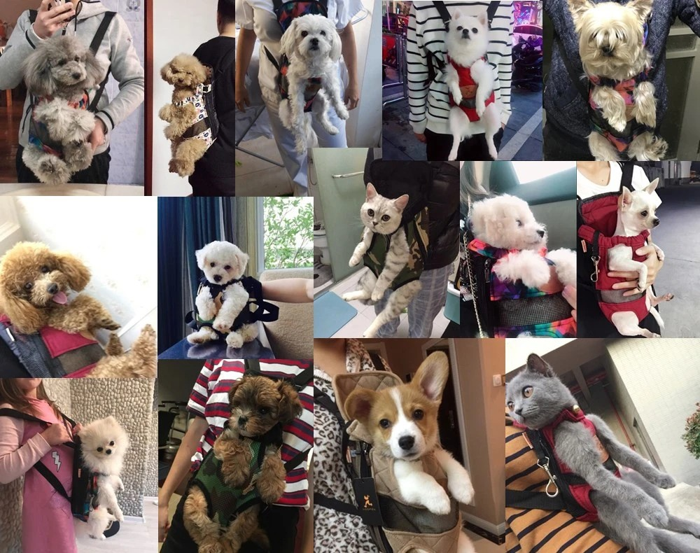 Trasportino PawVentura