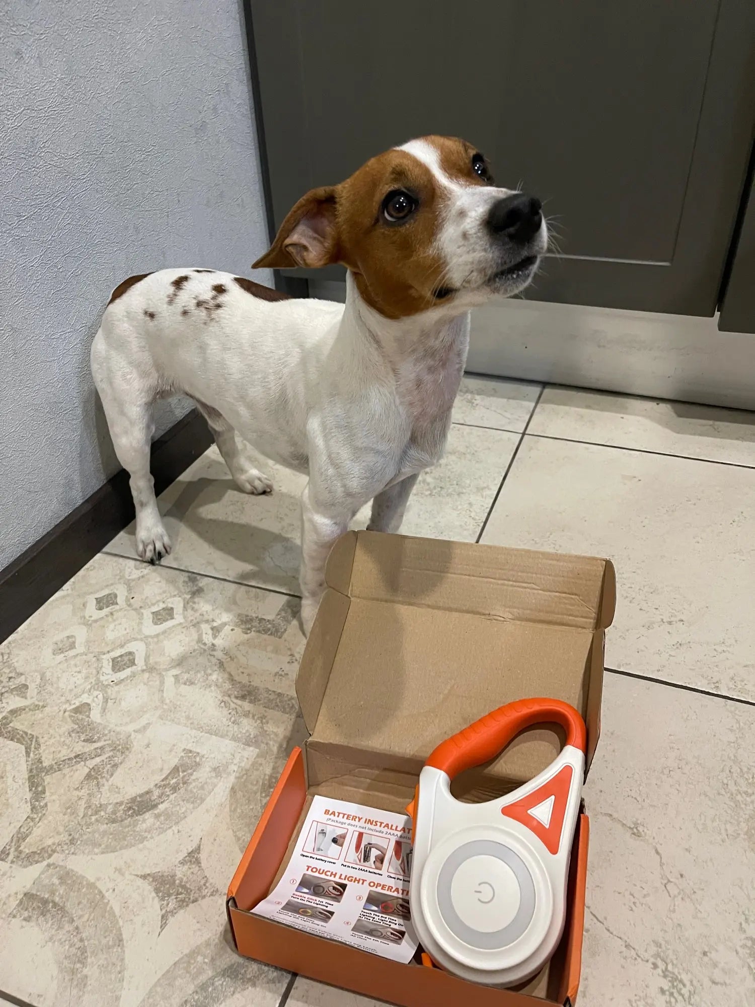 Guinzaglio Illuminato per Cani con Torcia – GlowGuard