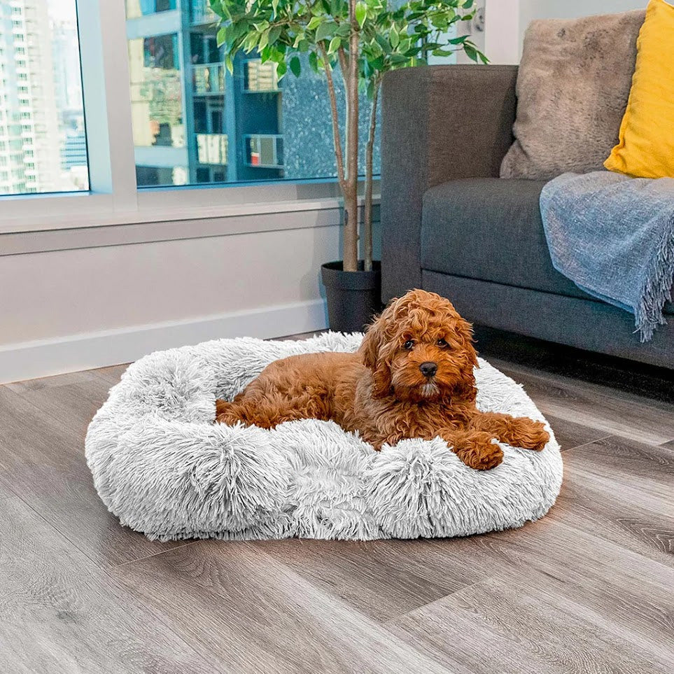 Letto per Cani Calmante con Memory Foam - Charlie