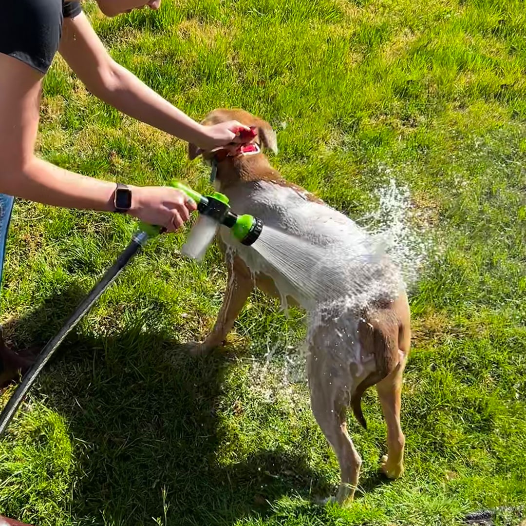 Spray per Doccia per Cani - WashBuddy