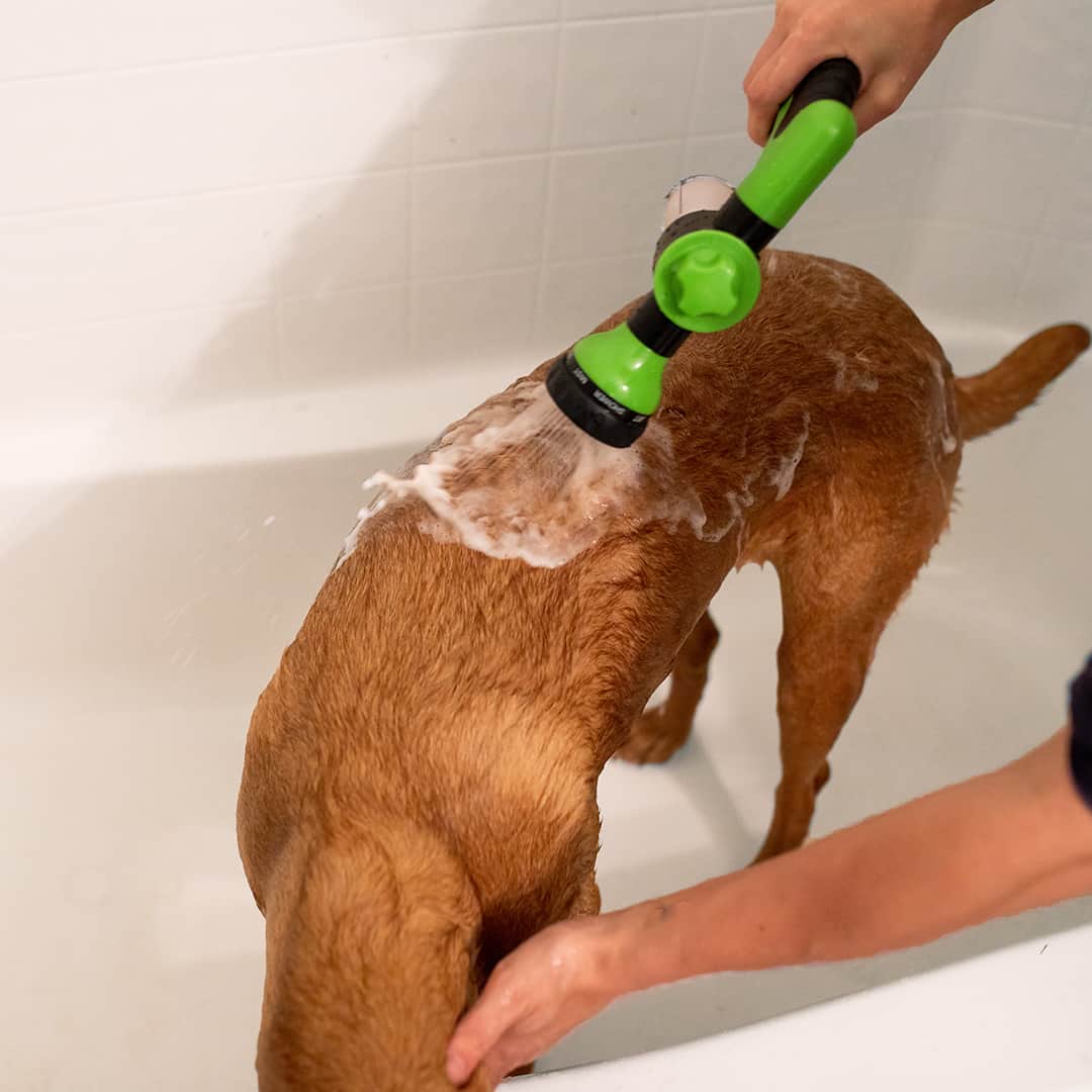 Spray per Doccia per Cani - WashBuddy