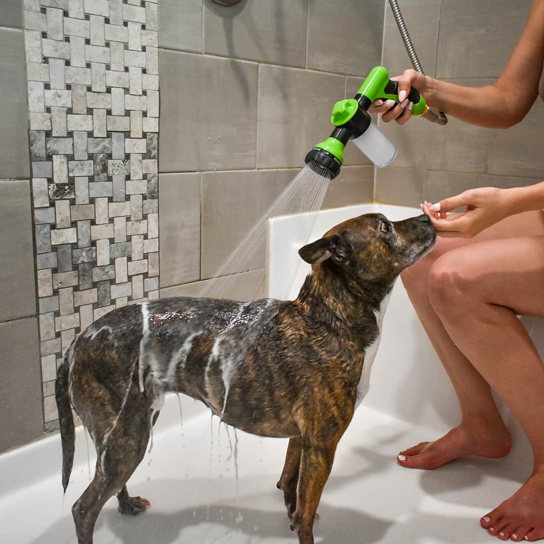 Spray per Doccia per Cani - WashBuddy