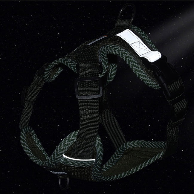 Set di Imbracatura e Guinzaglio Riflettente per Cani Piccoli - AirFlex