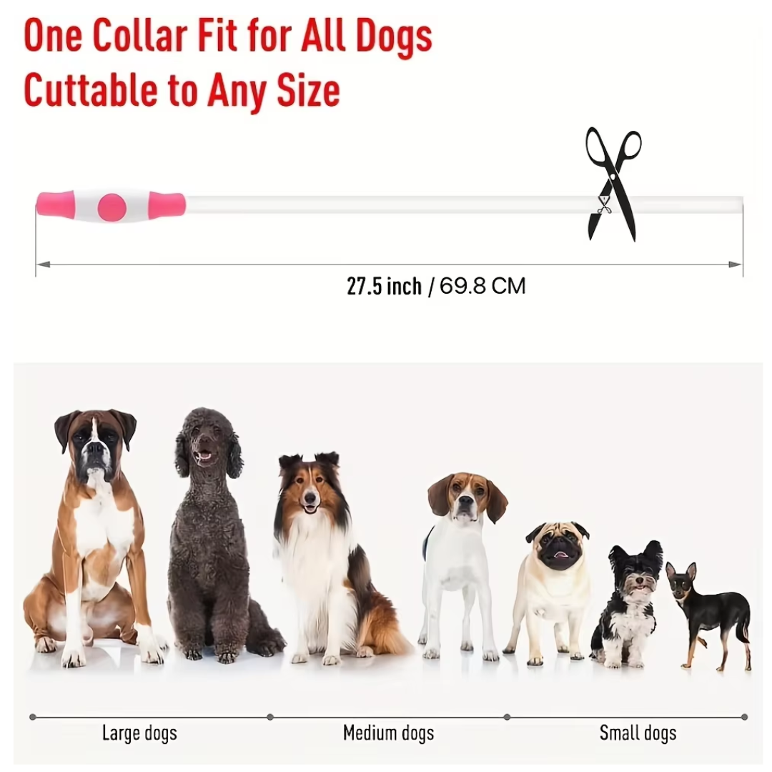 Collare per Cani GlowSafe LED – Luce di Sicurezza Ricaricabile USB