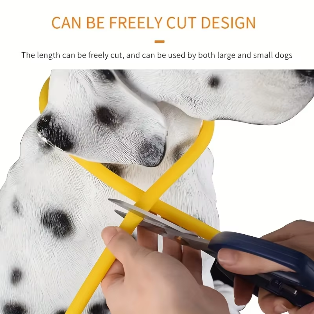 Collare per Cani GlowSafe LED – Luce di Sicurezza Ricaricabile USB