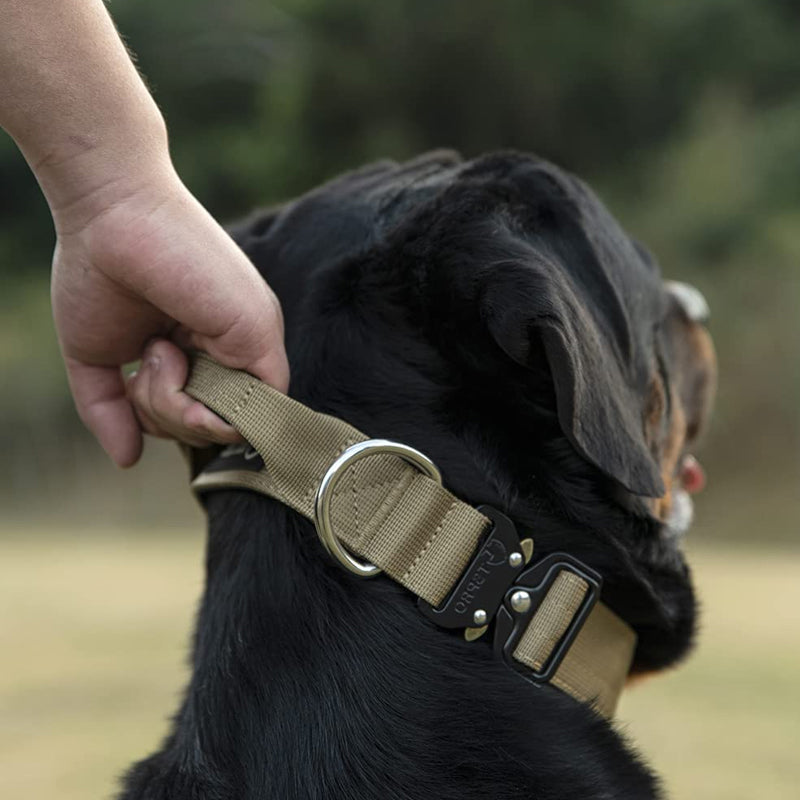 Collare Tacitico per Cani con Manico - PowerGrip