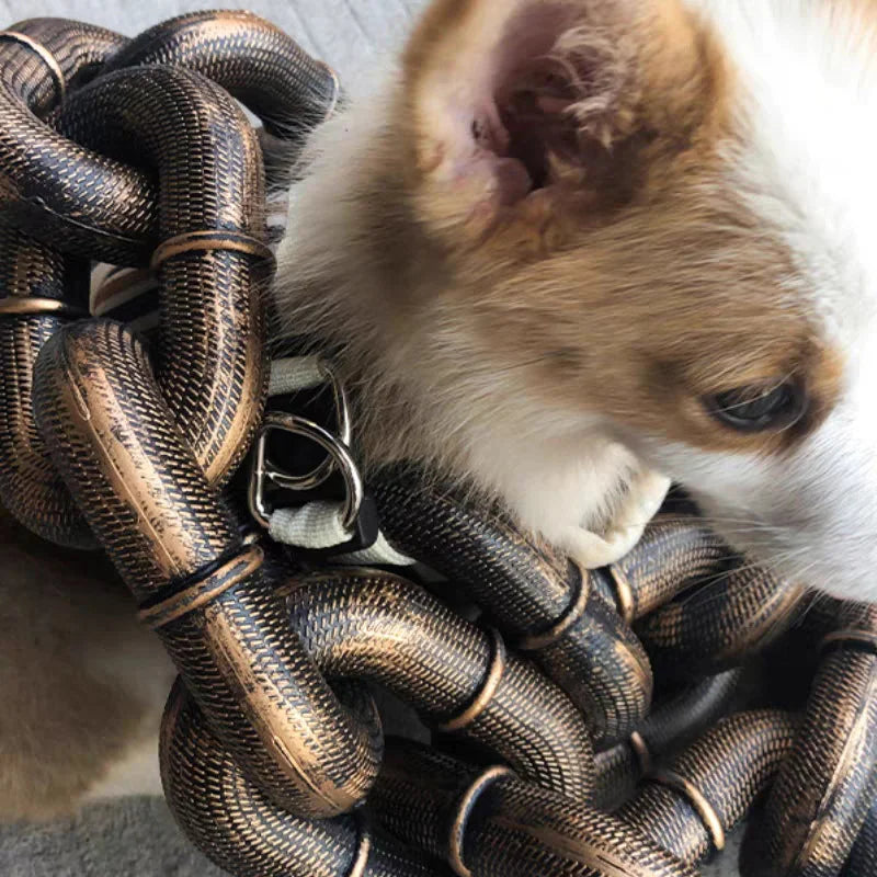 Guinzaglio per Cani Cool e Divertente - PawChic