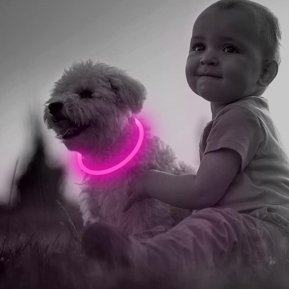 Collare per Cani GlowSafe LED – Luce di Sicurezza Ricaricabile USB