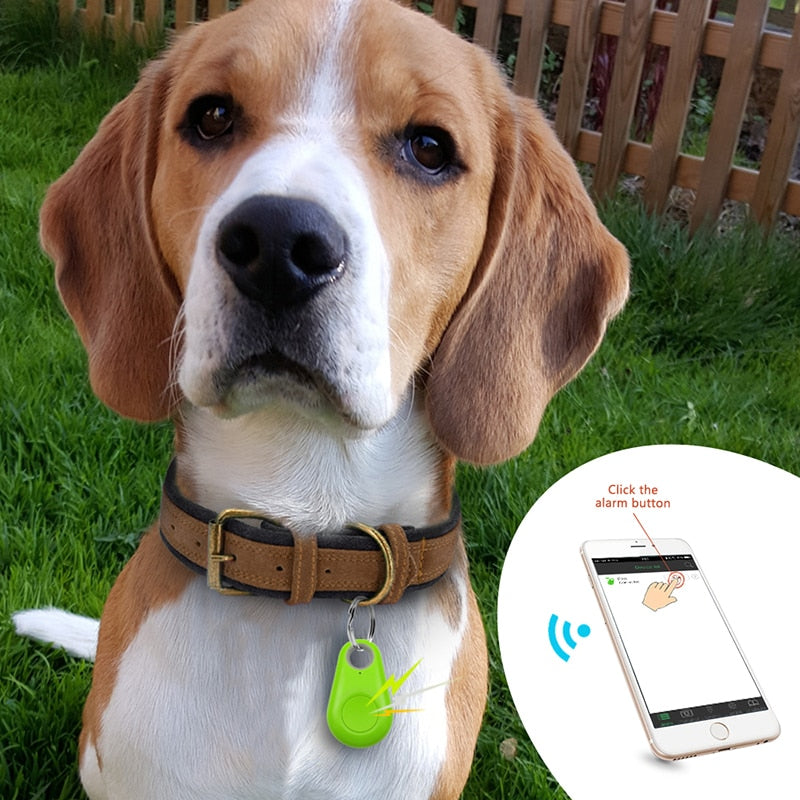Tag GPS per Animali - PawFinder
