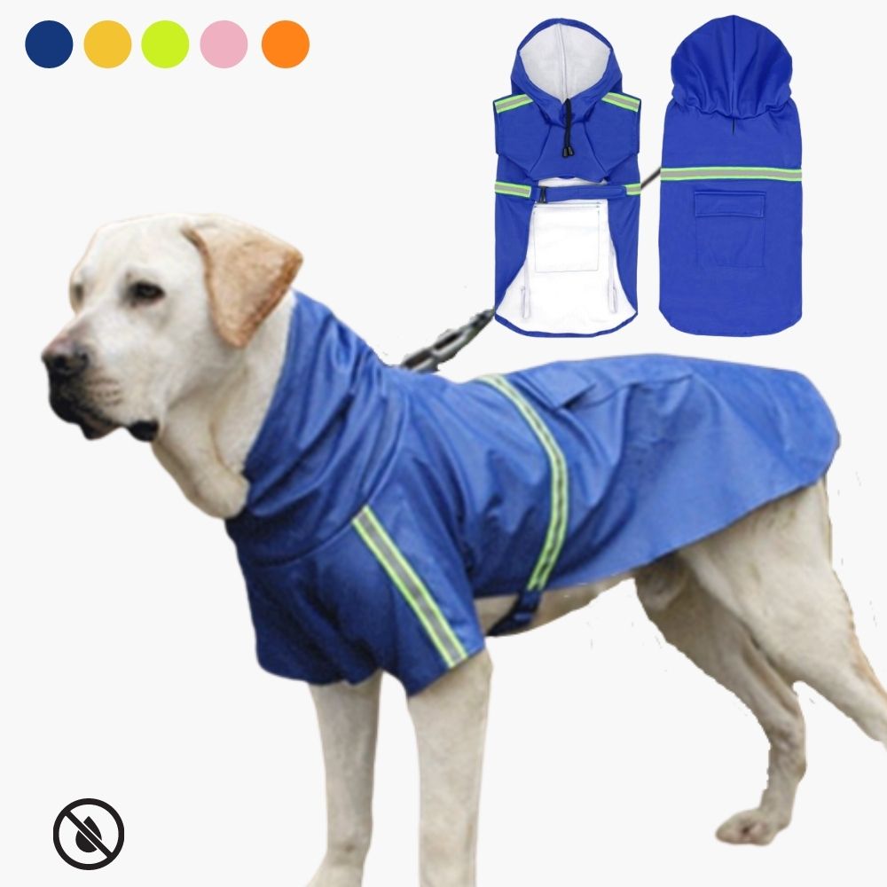 Giacca Impermeabile per Cani d'Autunno - StormPaw