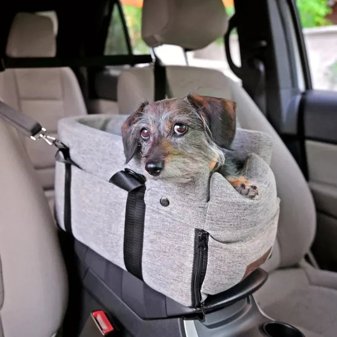Seggiolino per Auto per Animali - PawVoyage