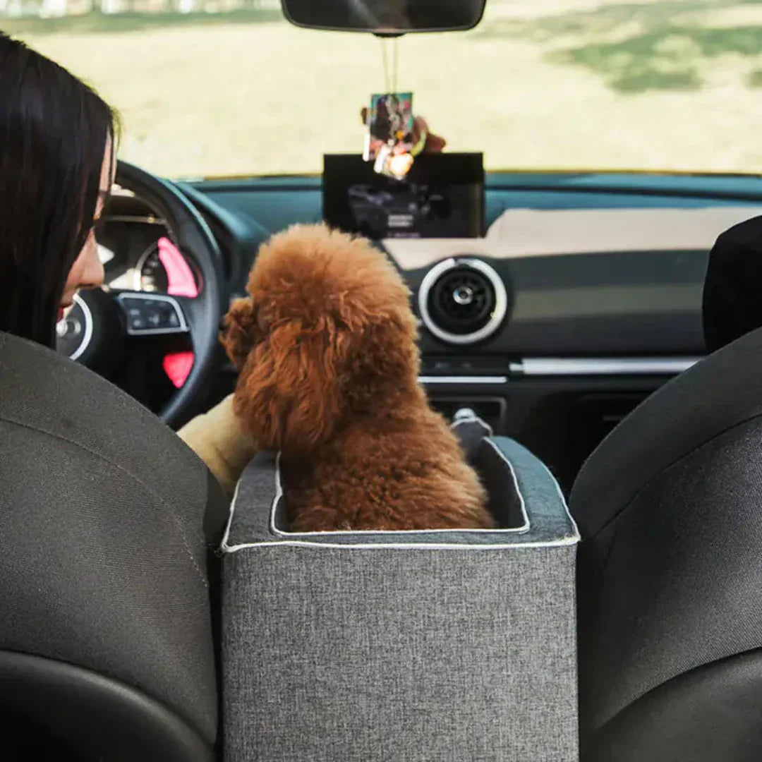 Seggiolino per Auto per Animali - PawVoyage