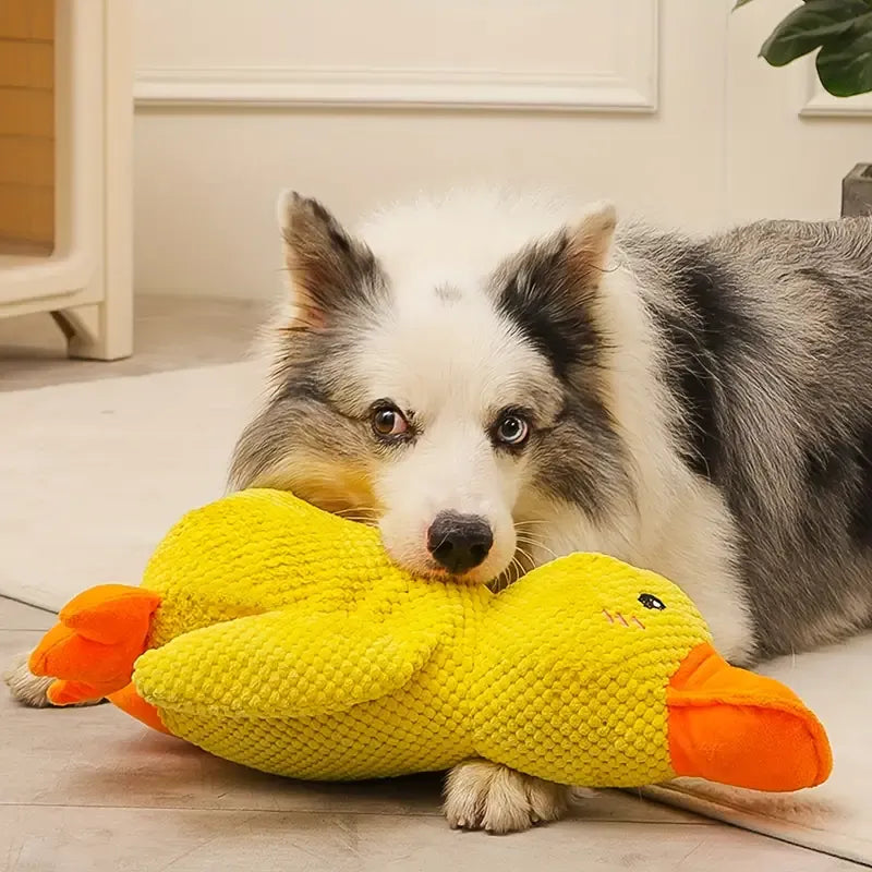 Giocattolo Interattivo per Cani con Suono e Cura Dentale - FlappyDuck